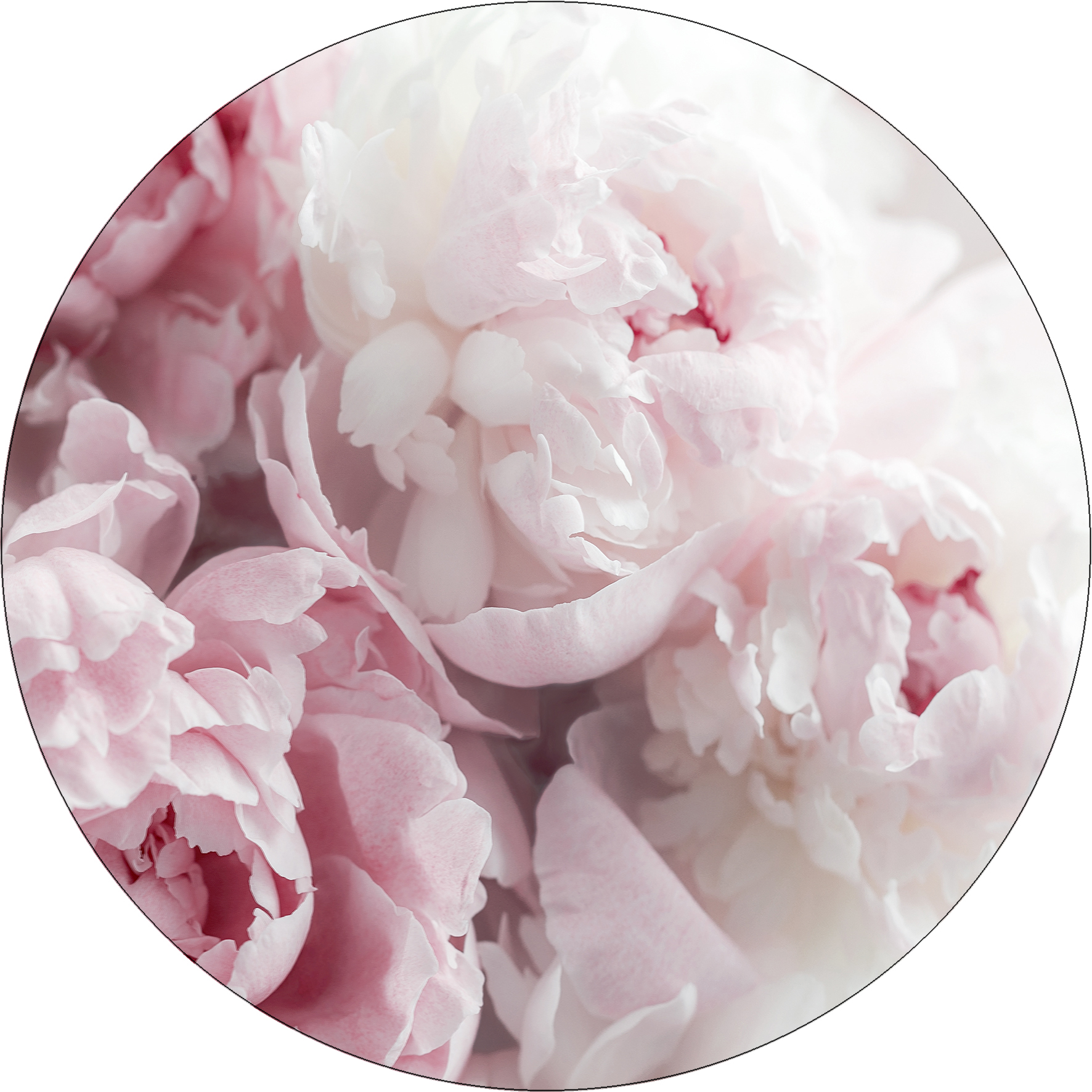 Glas-Art, Peonies II