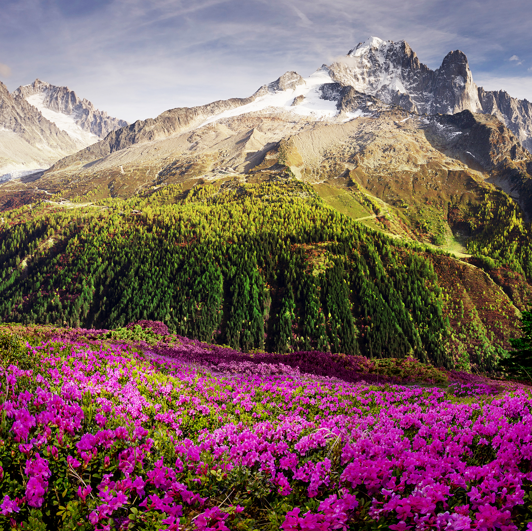 Glas-Art, Alpenrosen I