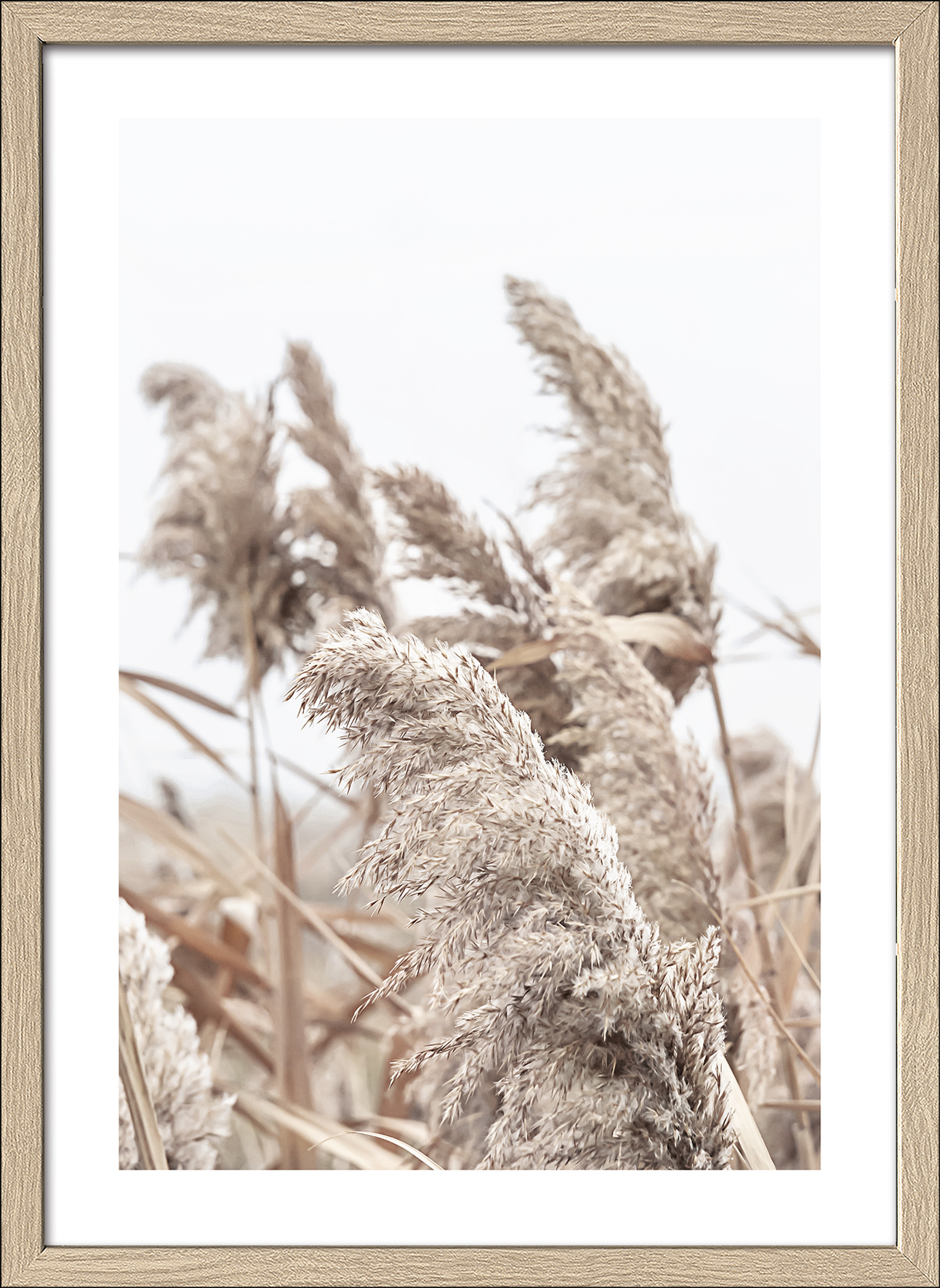 Framed-Art, In The Breeze II