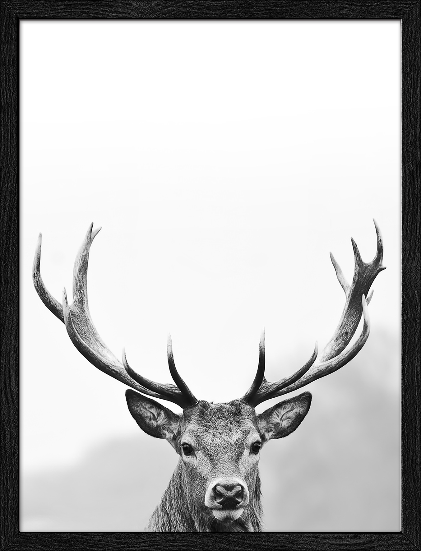 Framed-Art, Grey Deer Head III