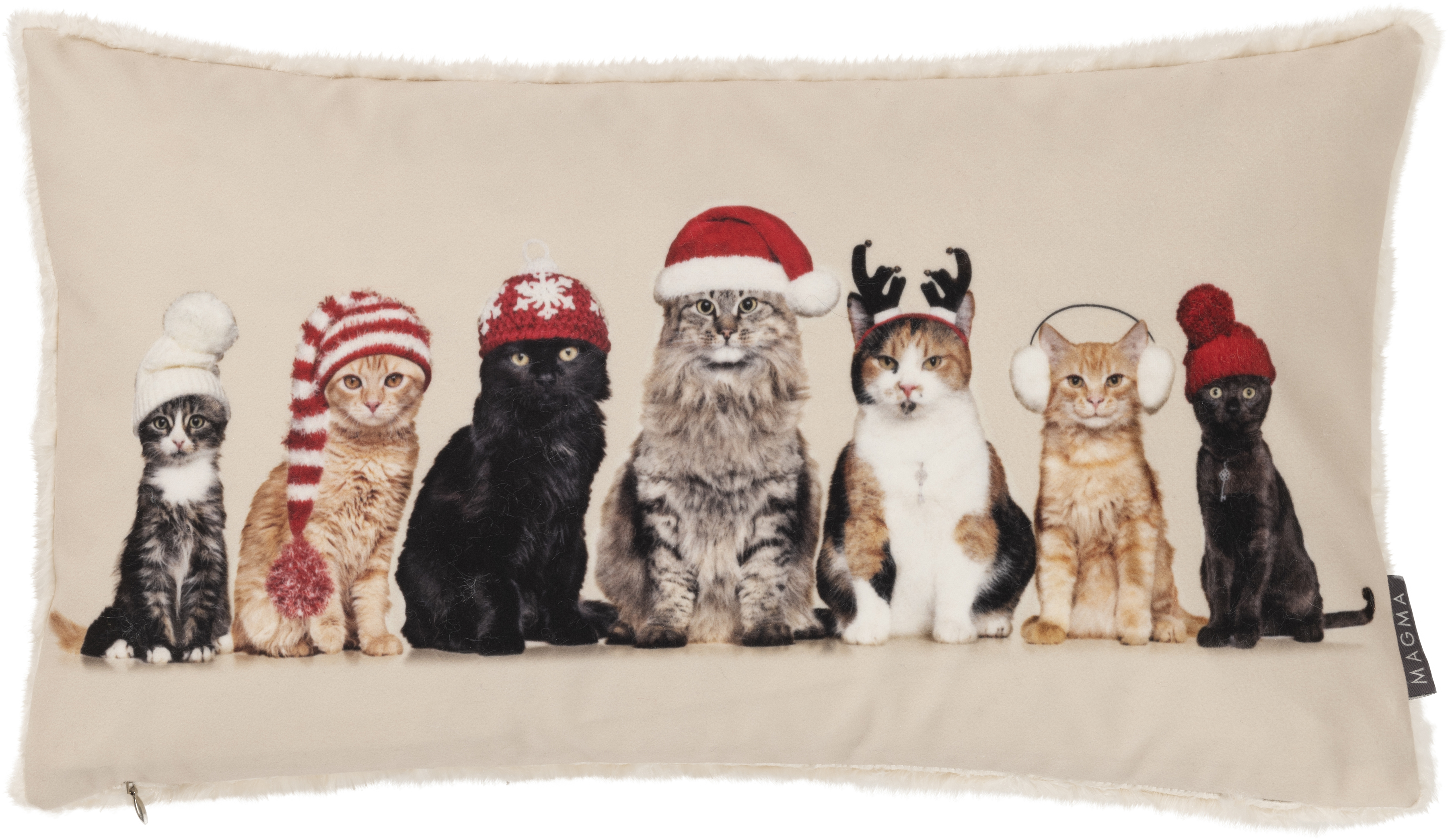 Kissen, Xmas Cats