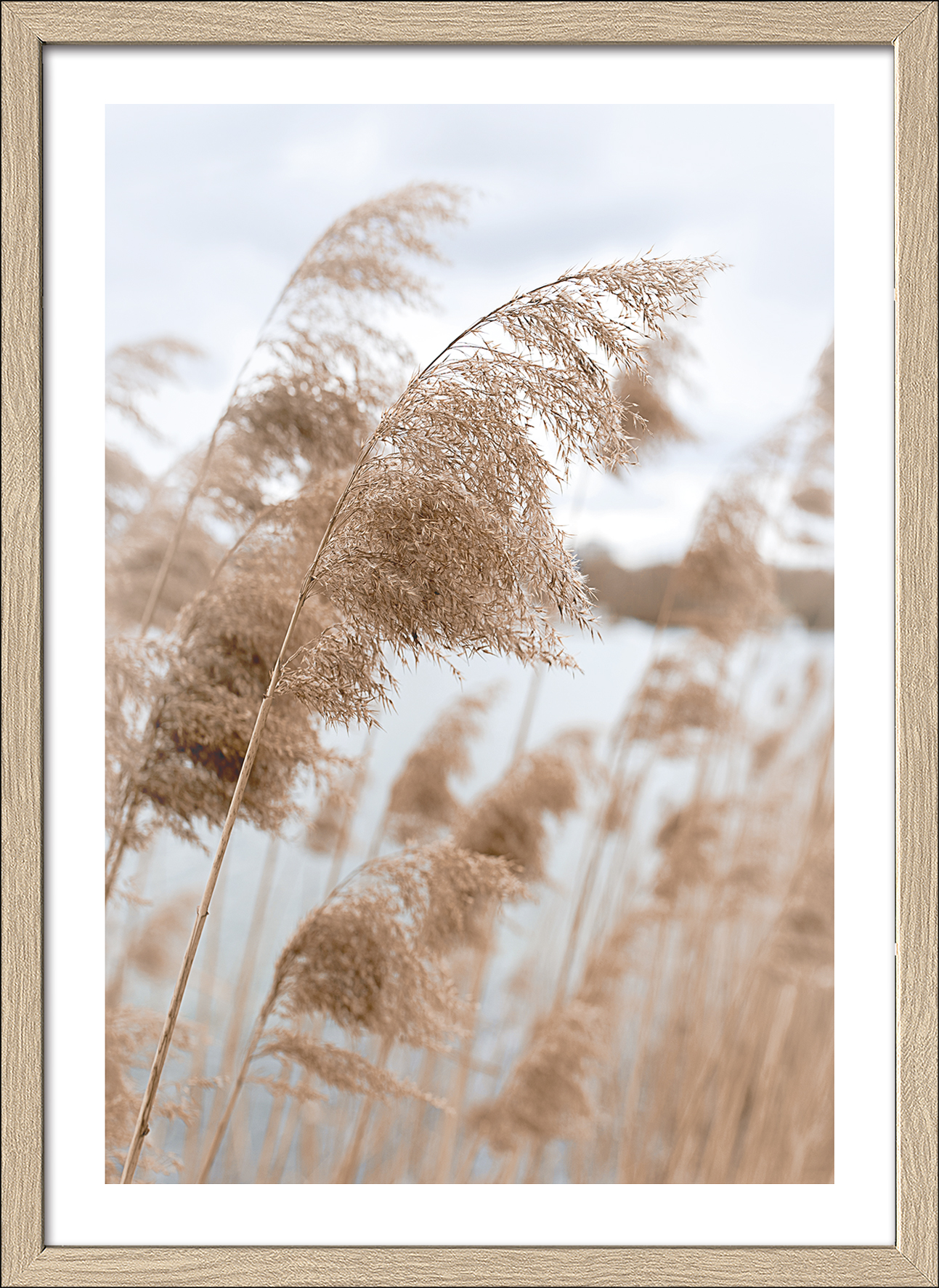 Framed-Art, In The Breeze VI