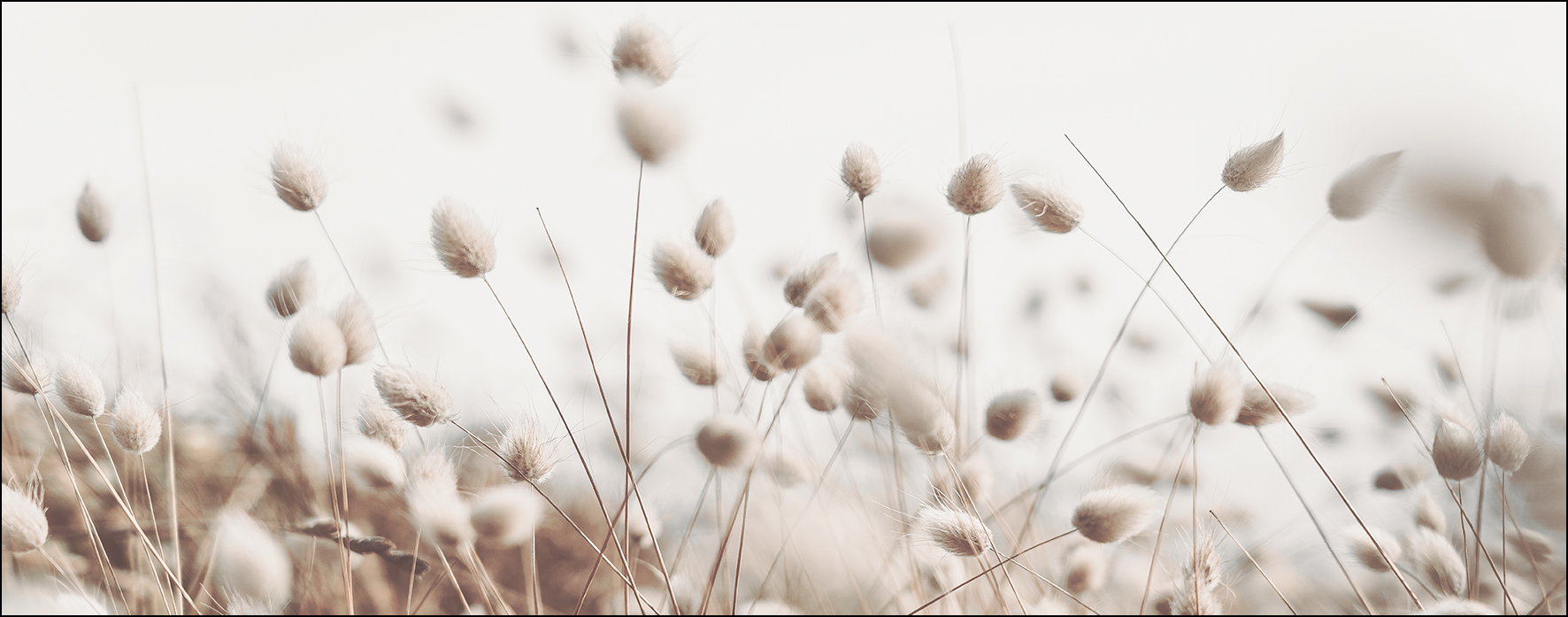 Glas-Art, Field Flowers V