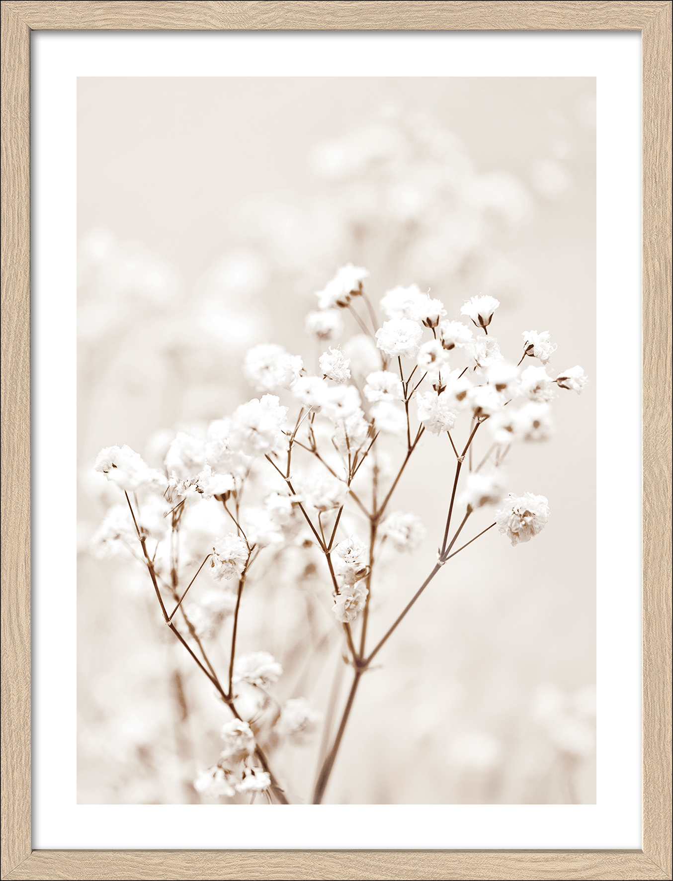 Framed-Art, Dried fieber in the wind II