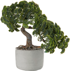 Bonsai, Deko