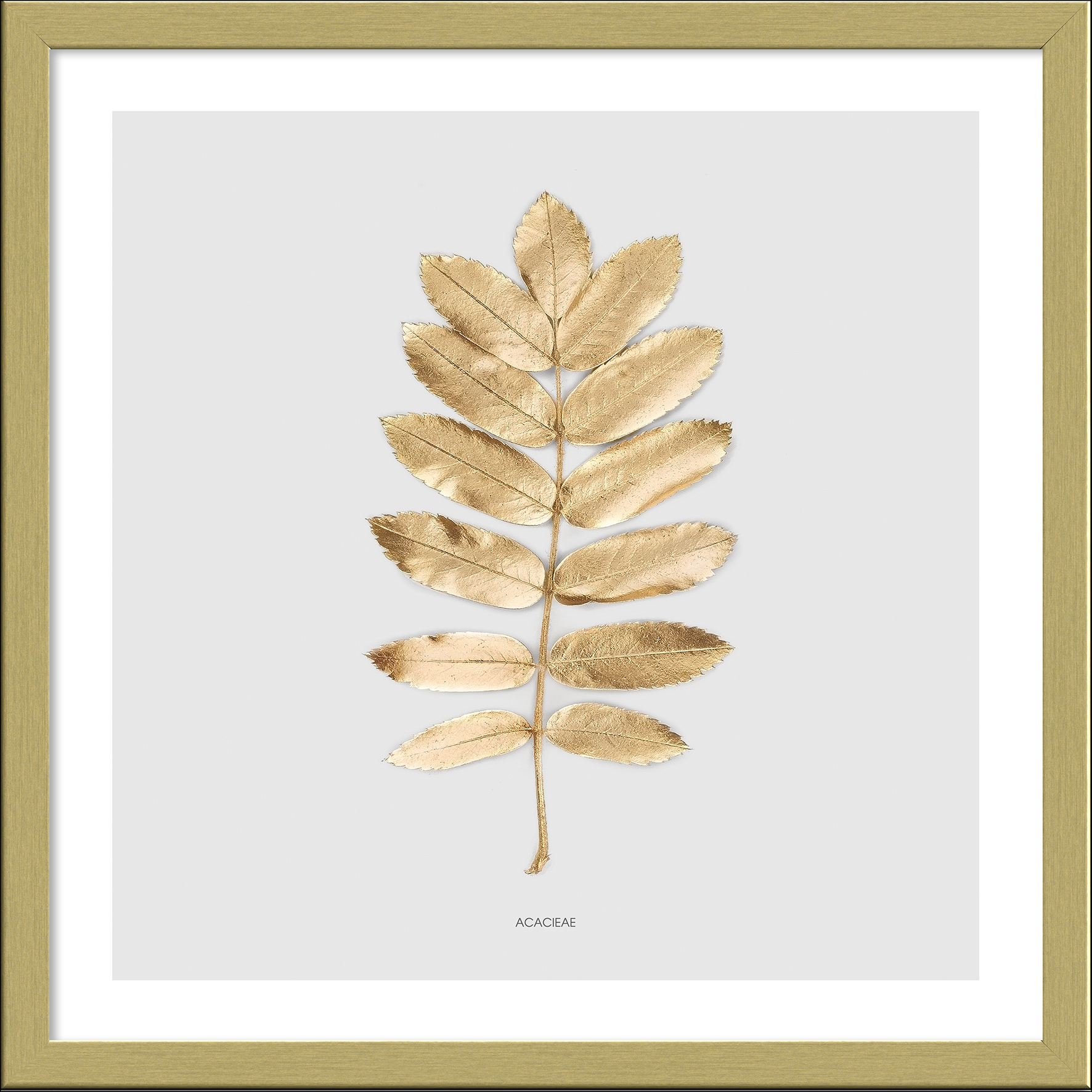 Framed-Art, Golden Leaf II