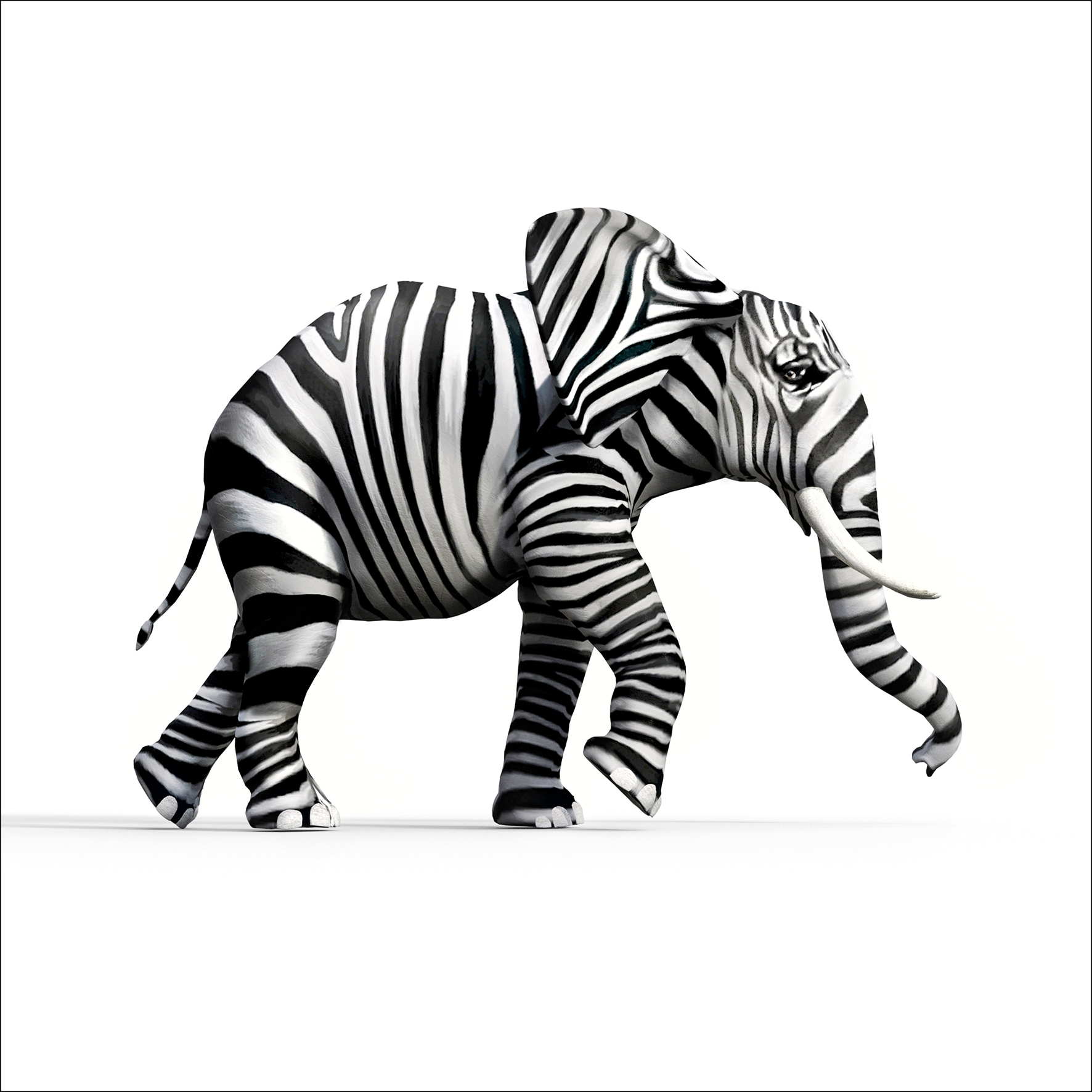 Decopanel, Striped Elefant