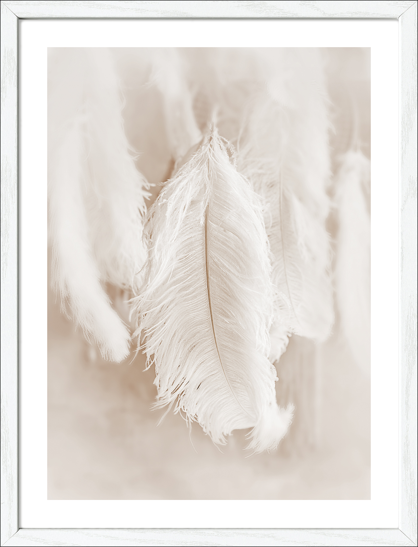 Framed-Art, The Feather II