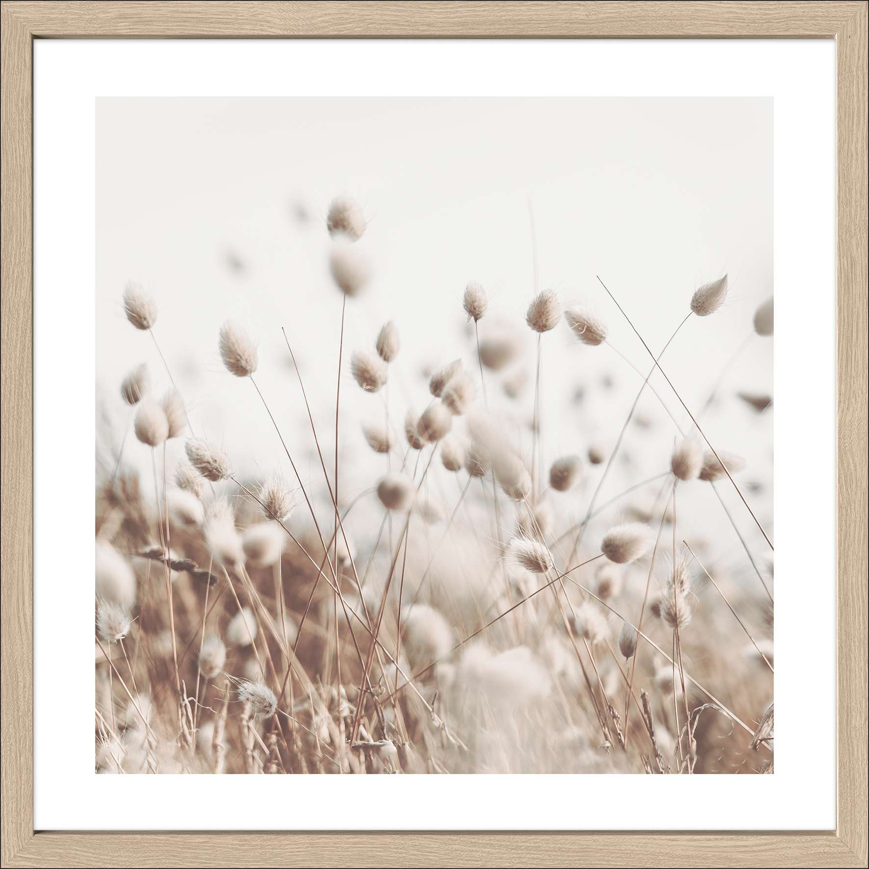 Framed-Art, Dried Fiber In The Wind II