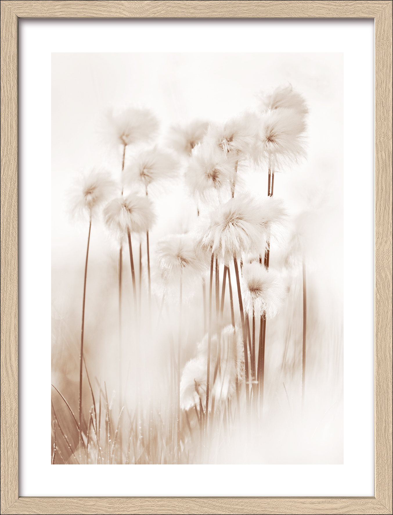 Framed-Art, Dried Fiber VII