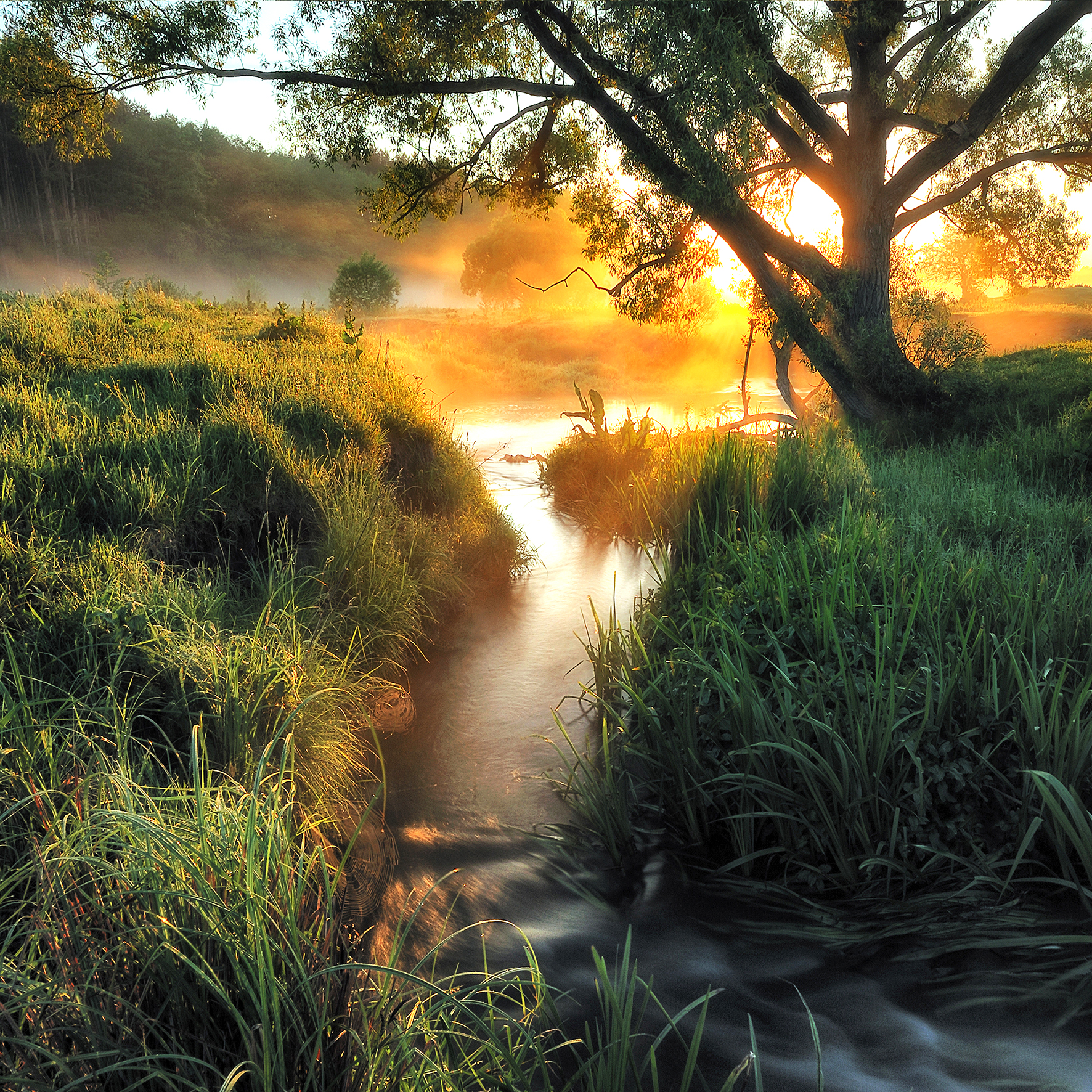 Glas-Art, Misty landscape II