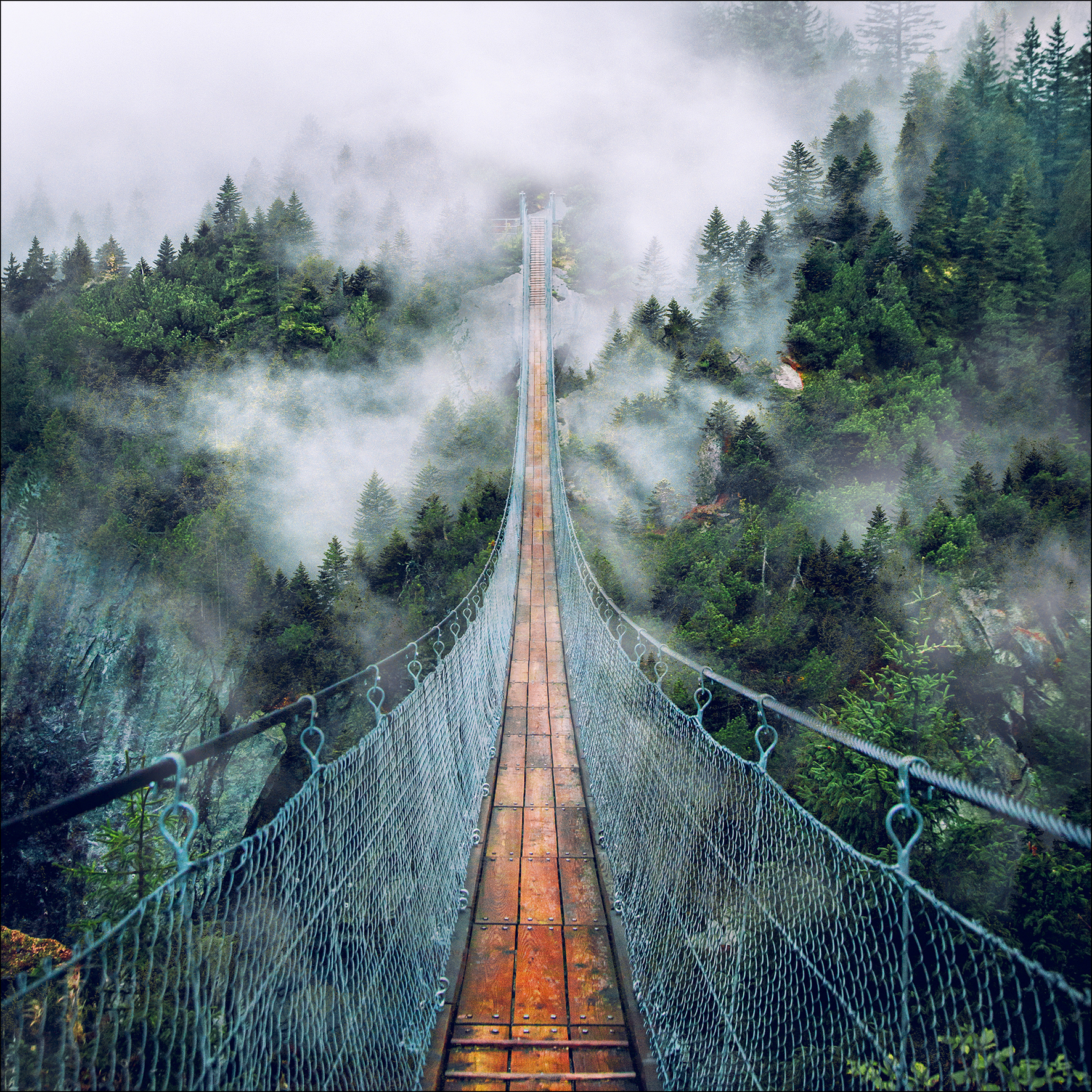 Canvas-Art, Suspension Bridge