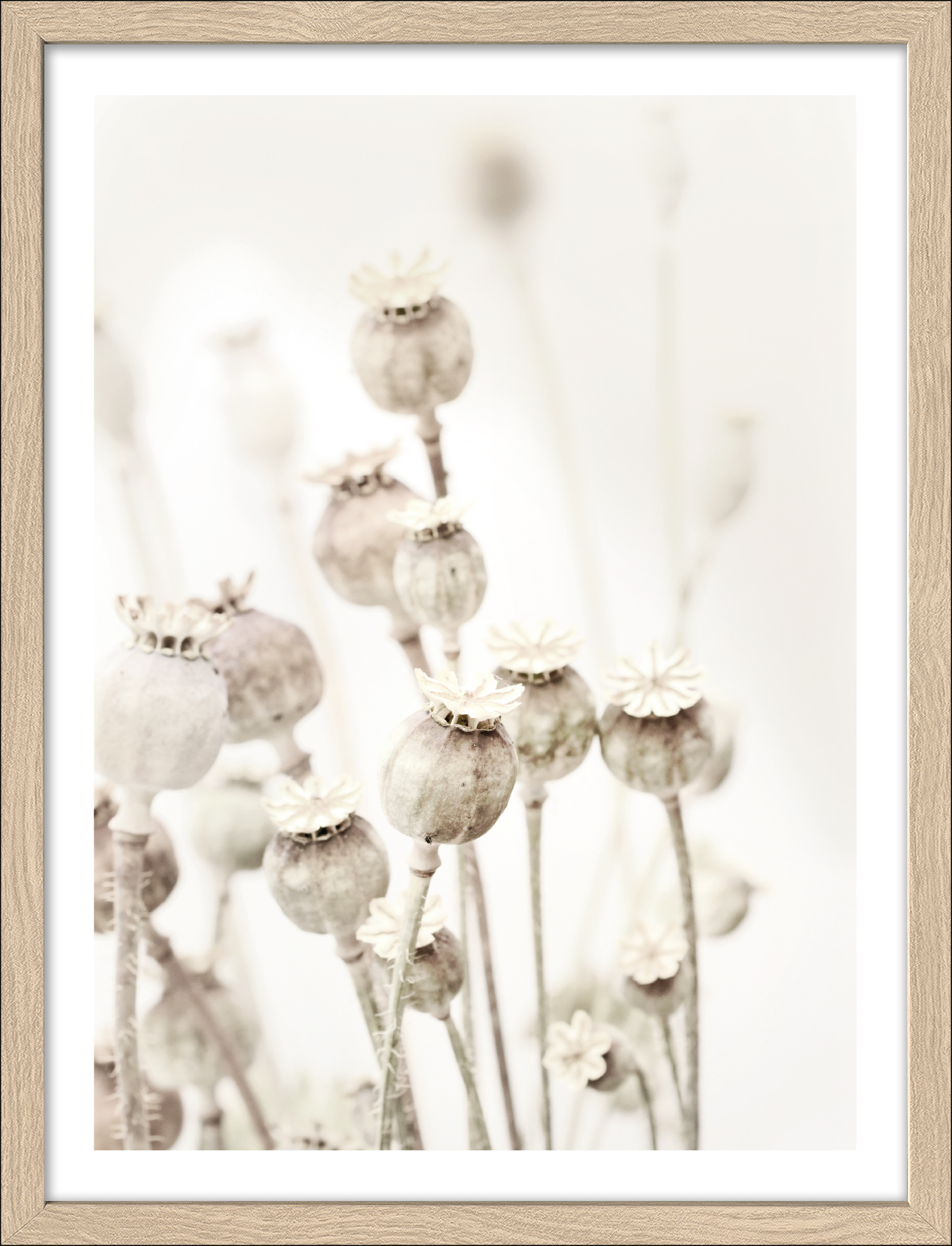 Framed-Art, Dried Poppies