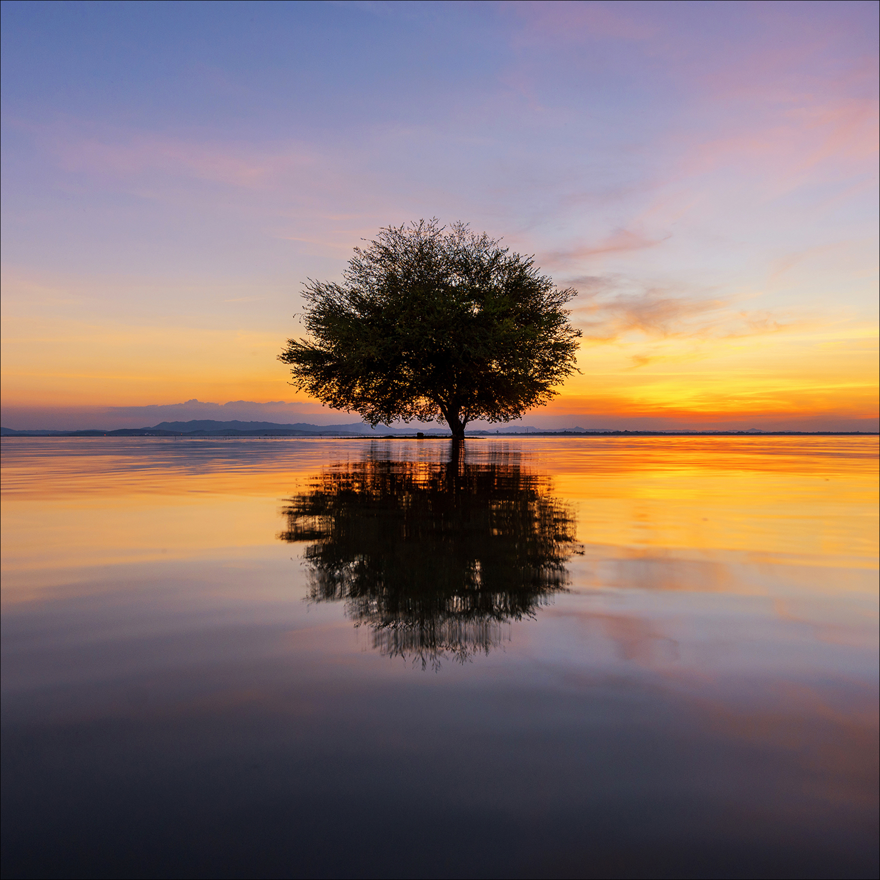 Glas-Art, Lonely Tree