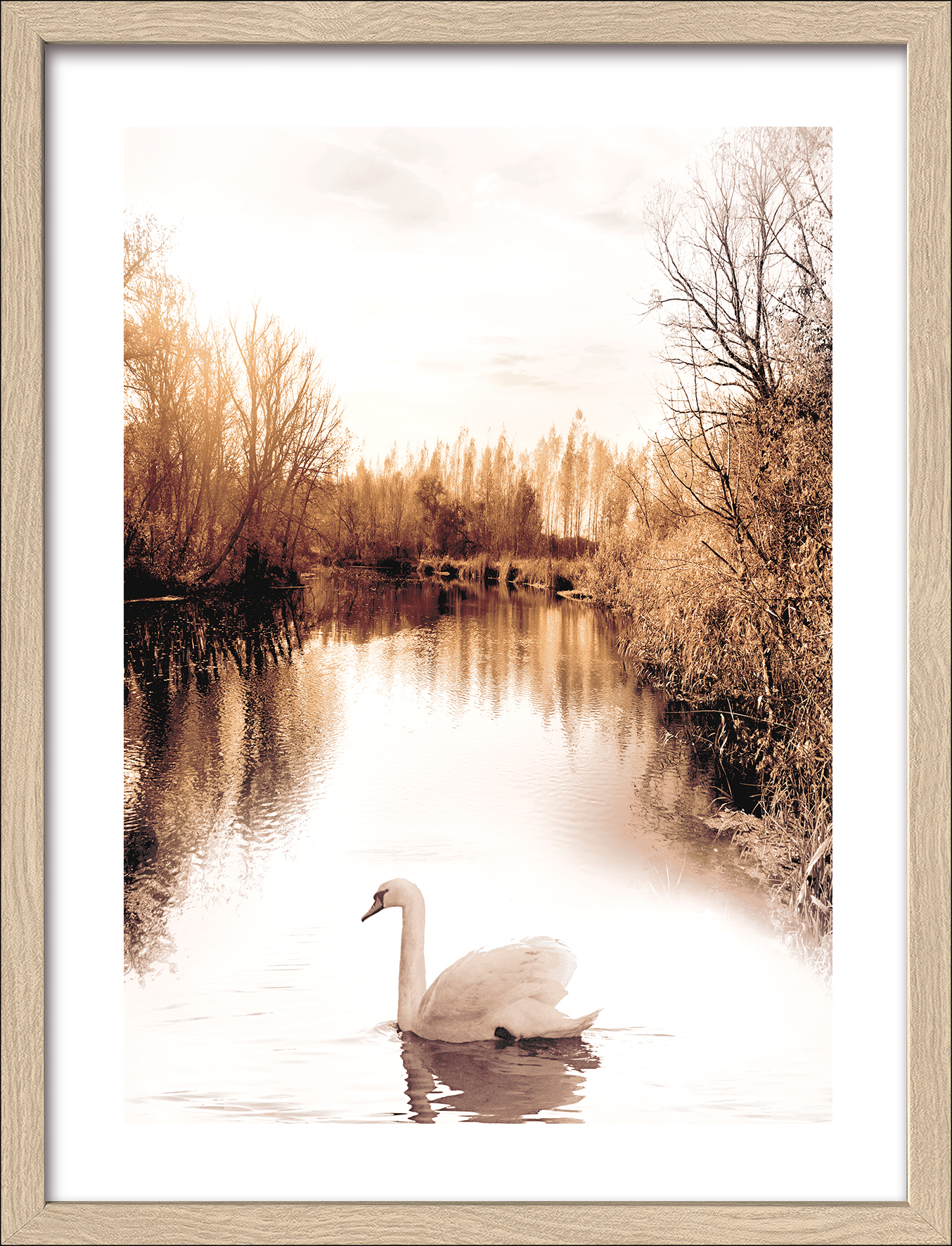 Framed-Art, Lonely Swan